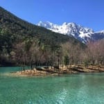 Carolina Sandoval avatar